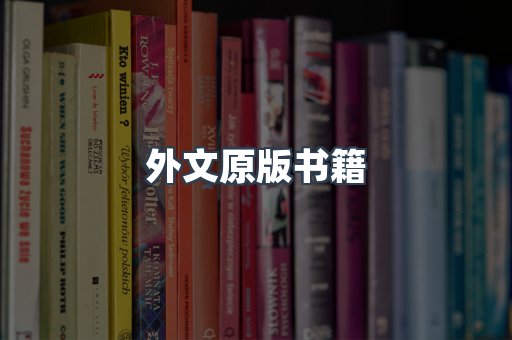 海外电子书